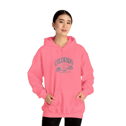 Colorado Unisex Heavy Blend™ Hooded Sweatshirt